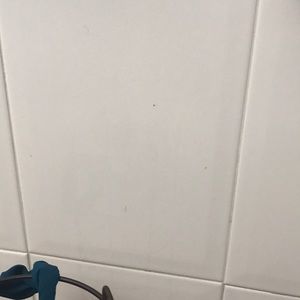 Meet your Posher, Alma